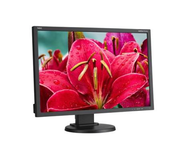 Nec MultiSync E245WMi czarny - 366148 - zdjęcie 6